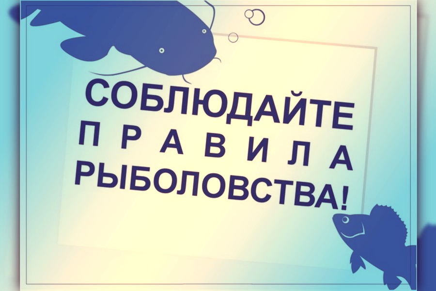 ПРОКУРАТУРА ЦИЛЬНИНСКОГО РАЙОНА РАЗЪЯСНЯЕТ.